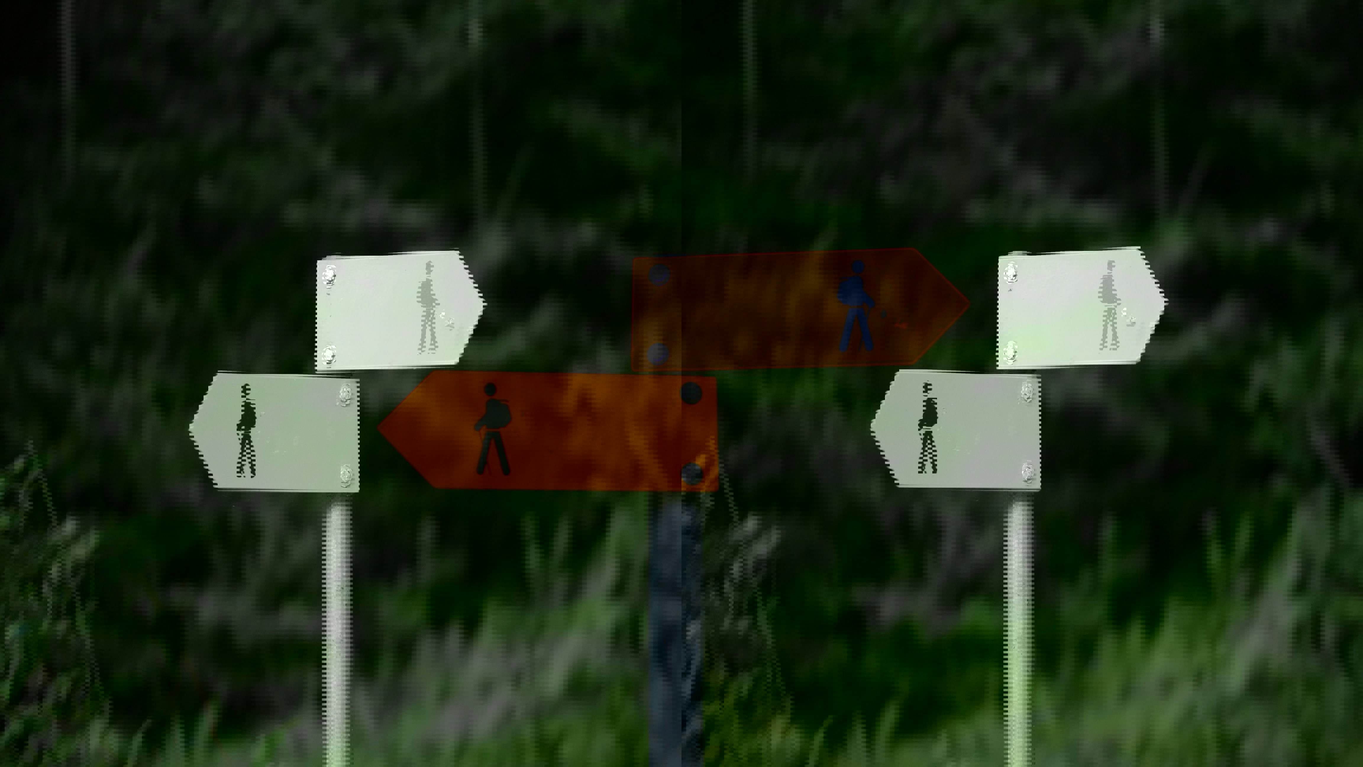 Marco Kaufmann 0Kbnh7xrj7q Unsplash